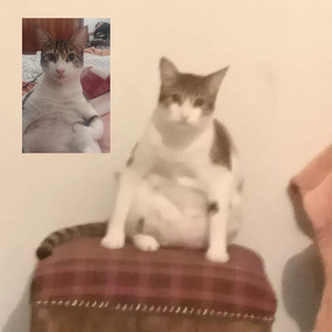dude2