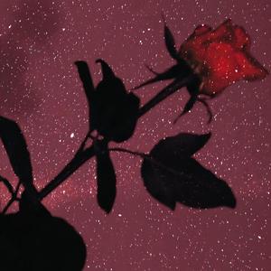 PS我爱你（翻自 A-Lin）