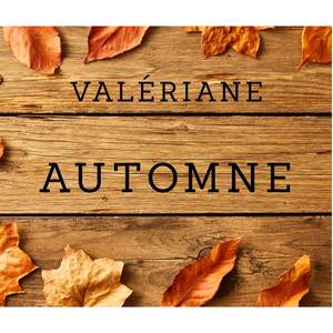 Automne