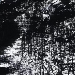 Oulujärvi