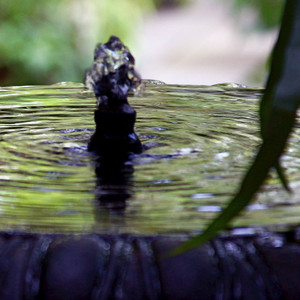 Black Forest Fountain