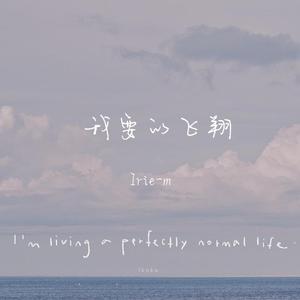 我要的飞翔（cover）