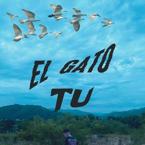 TÚ