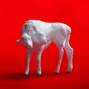 Cyber Skin (Schacke Remix)