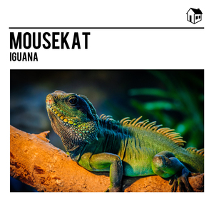 Iguana (House Mix)