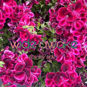 wide awake (by my side)