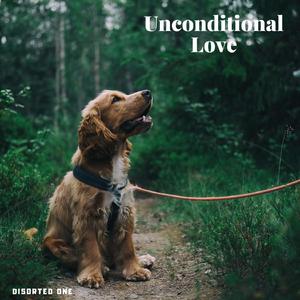 Unconditional Love