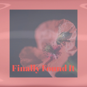 Pure Orchestral Strings