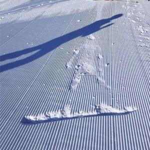 Stay (ft. Izaya-Suess noth-Remix)