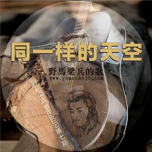 怒放的生命 伴奏