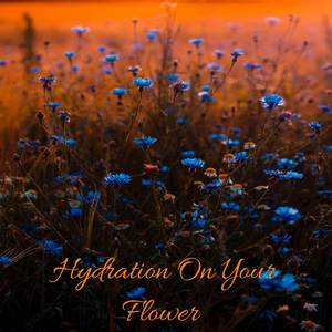 Hydration On Your Flower (Blossom For Me)