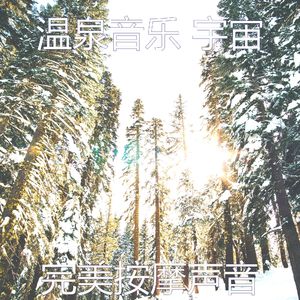 抚慰的回春回忆