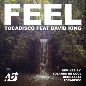 Feel (Yolanda Be Cool Remix)