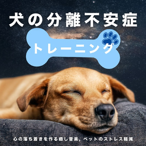 ヒーリング-脳の休息-
