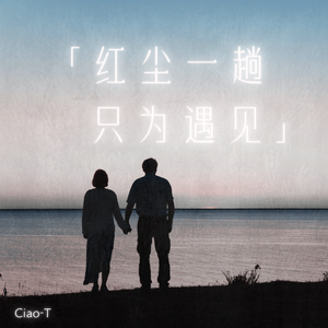 红尘一趟只为遇见（深情版）