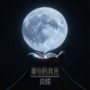 掌心的月光.mp3