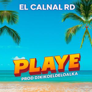 Playe (DJ Kiko El De Lo Alka Remix)