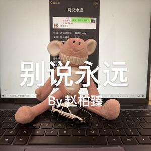 别说永远