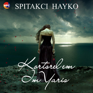 Kortsrel Em Im Yaris