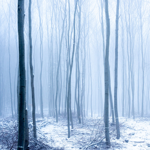 How To Spend Winter