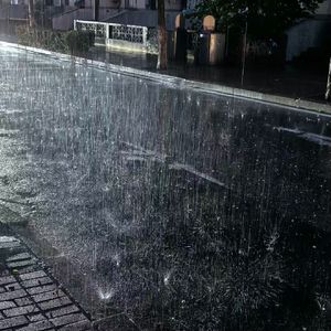 雨