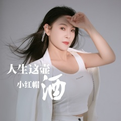 人生这壶酒 (DJ默涵版)