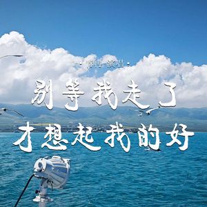 别等我走了才想起我的好