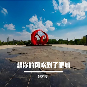 想你的风吹到了肥城