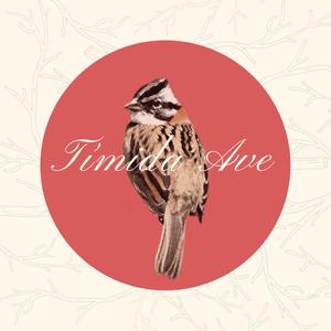 Tímida Ave de Francisco Vega (feat. Francisco Vega)