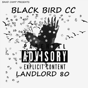 Black Bird Cc