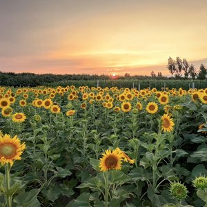 恩琪-追光.mp3（恩琪 remix）