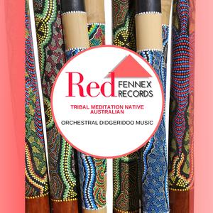 Native Australia Healing Digeridoo