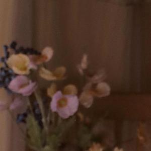 没你也能活下去