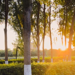 这是我一生中最勇敢的瞬间