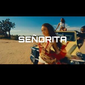 Señorita (feat. Ilir808)