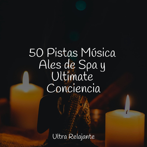 Anochecer En La Distancia