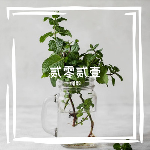 群星-永恒的东风 古典版（闻毅 remix）