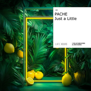 Just a Little (Extended Mix)