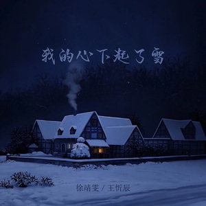 我的心下起了雪（奏曲版）