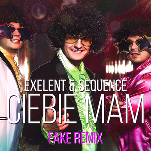 Ciebie mam (Fake Remix Extended)