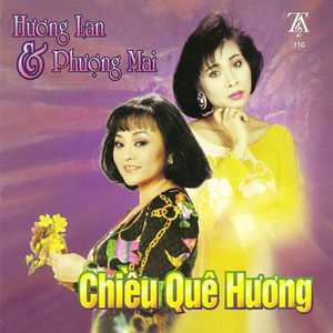 Tình Vợ Chồng