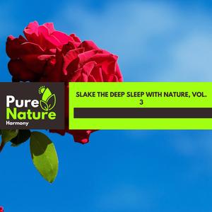 Condescending Toad Chorus