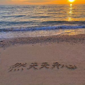 阳demo
