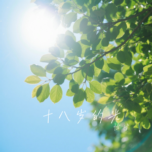 十八岁的光