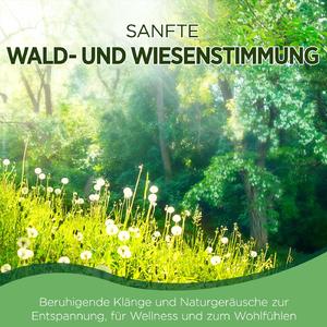 Waldstimmung