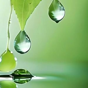 梦想盛开的春天