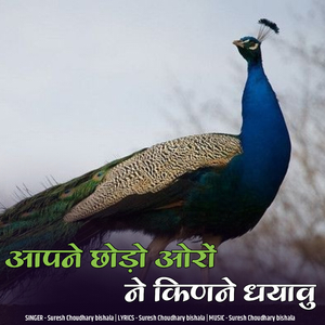 Aapne chodo oro ne kinne dharau