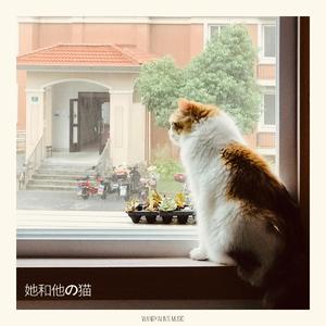 晚安猫(Good Night Cat)