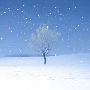 这个冬天不会冷（(prod.by Morrow)）