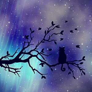 Loneliness Ringer